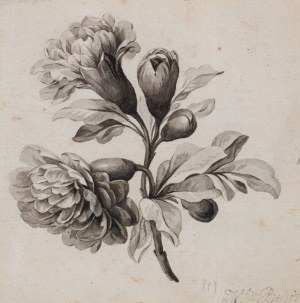 Beyer Henryka