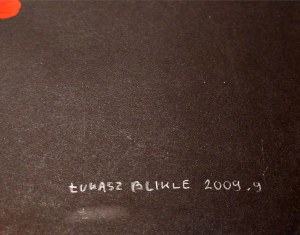 Łukasz Blikle, Abstrakcja, 2009