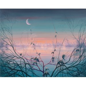 Anna Sołtysiak, Sonnenuntergangsschwingungen, 2024