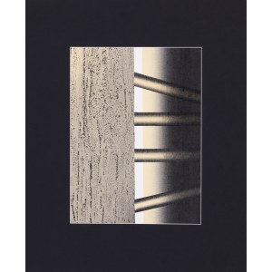 Ewa Zawadzka, Black count, 2001