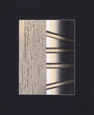 Ewa Zawadzka, Black count, 2001