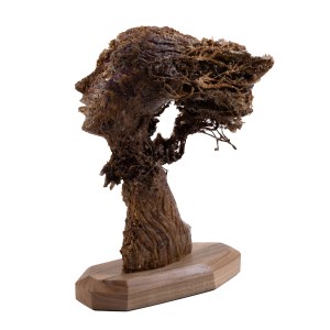 Christopher Plum, Herbalist, 2024