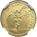 Rome - Pius Vi (1775-1799) Double half 1777 - D/ FLORET IN DOMO - DOMINI, lily plant with various ...