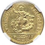 Rome - Pius Vi (1775-1799) Double half 1777 - D/ FLORET IN DOMO - DOMINI, lily plant with various ...
