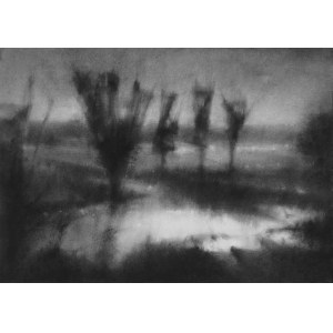Christophe Biskup, Untitled (No. 350)