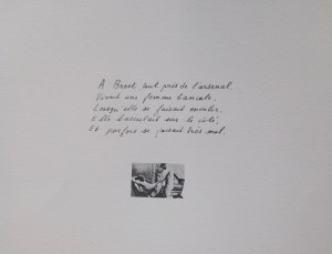 Roland Topor (1938-1997), L'épikon IV
