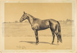 Carl Franz Bauer (1869-1945), Koń wyścigowy, ok. 1900