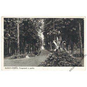 BUSKO-ZDRÓJ. Fragment z parku. Wyd. Józef Hrywniak