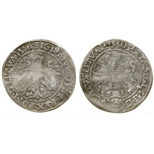 Poland, penny, 1535, Vilnius