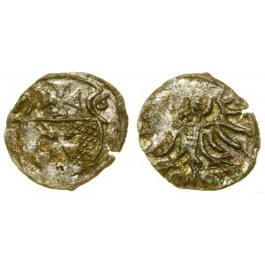 Poland, denarius, 1556, Elbląg
