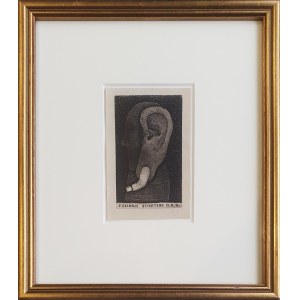 Stasys Eidrigevicius, Exlibris Stichtingo O.O.K.