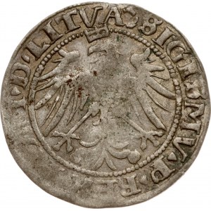 Lithuania Grosz 1536 M Vilnius (R)