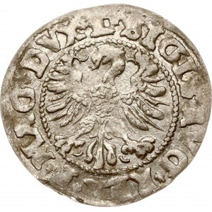 Lithuania Polgrosz 1546 Vilnius (RRR)