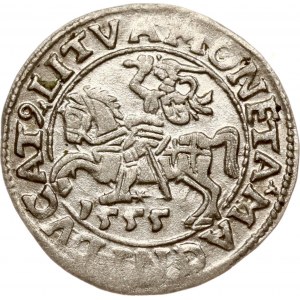 Lithuania Polgrosz 1555 Vilnius