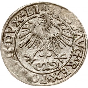 Lithuania Polgrosz 1555 Vilnius