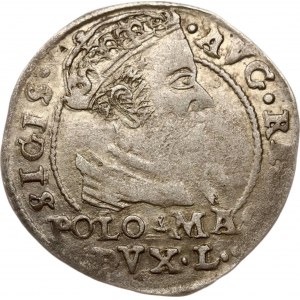 Lithuania Grosz 1568 Tykocin (R)