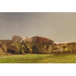 Dariusz Syrkowski, Landschaft / 2022