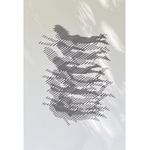 Bartosz Sucharski, Grafika