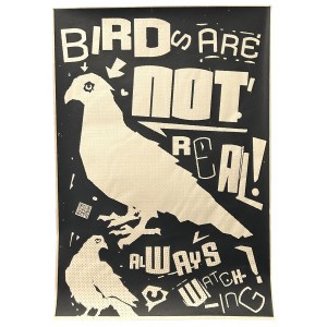 Julian Achilles Pawlak, Birds are not real