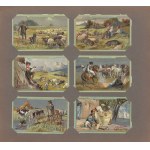 Palmin Serienbilder [collectible picture album, sports, geography, history]].