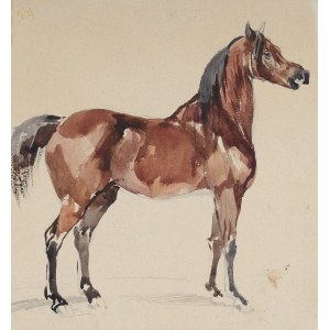 Piotr MICHAŁOWSKI (1800-1855), Gniady koń