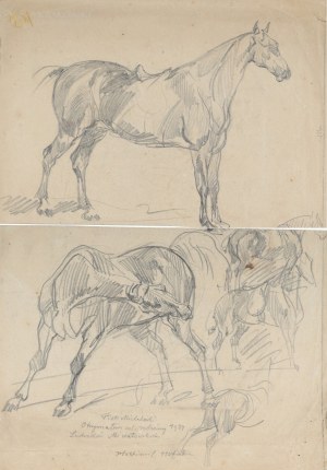 Piotr MICHAŁOWSKI (1800-1855), 