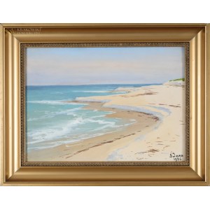Soter August JAXA-MAŁACHOWSKI (1867-1952), Bałtycka plaża (1926)
