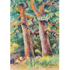 Wiktor ZIN (1925-2007), Puszcza Białowieska (1981)