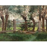 ZDENKA BRAUNEROVA (ceca/boema 1858-1934) - Salici