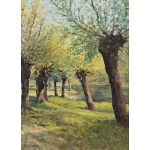 VACLAV BREZINA (Czech / Bohemian 1862 - 1906) - Landscape with willows