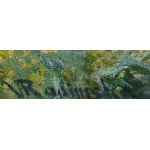 VACLAV RADIMSKY (Czech / Bohemian 1867 - 1946) - Landscape with water lilies