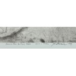 JIŘÍ ANDERLE (Čech / Bohemian 1936) - Zrak - z cyklu Smysly (Variace na Goltziovo téma)