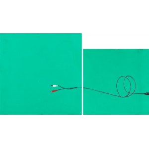 Wilhelm Sasnal (b. 1972, Tarnów), Untitled (diptych), 1999