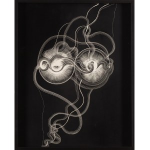 Dobrawa Borkała (ur. 1990, Nowy Jork), Oneness, 2018