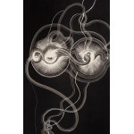 Dobrawa Borkała (ur. 1990, Nowy Jork), Oneness, 2018