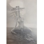 Luke Owczarek, Figure XVI