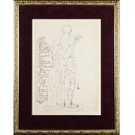 Artysta nieokreślony, XVII w., Anatomia człowieka - para rysunków