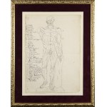 Artysta nieokreślony, XVII w., Anatomia człowieka - para rysunków
