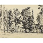 Franciszek HAYDER (1905-1990), Pejzaż z Ustronia, 1954