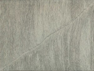 Jan Dobkowski (ur. 1942), Totalne zagrożenie, 1980