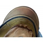 Heer 17th Infantry Regiment Officers Visor Cap with Braunschweig Skull