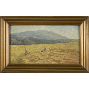 Frantisek MRAZEK, W polu