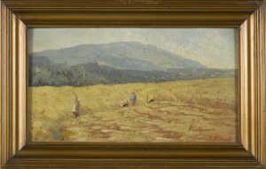 Frantisek MRAZEK, W polu