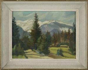Mieczysław TEODORCZYK, Dolina Kościeliska