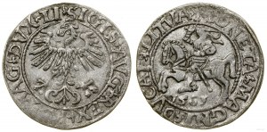 Poland, half-penny, 1561, Vilnius