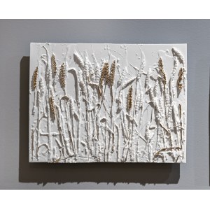 Stanislaw Brach, Seed XXIII, 2023