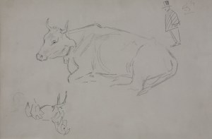 Karol Kossak (1896-1975), Szkice leżącej krowy, konia, rysunek satyryczny mężczyzny w cylindrze, 1922
