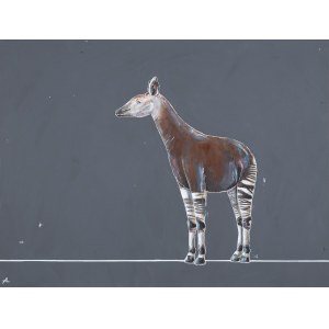 Aleksandra Lacheta (ur. 1992), Okapi, 2024