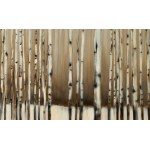 Aleksandra Skierska (b. 1992, Slupsk), Betula, 2024