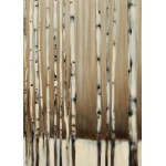 Aleksandra Skierska (b. 1992, Slupsk), Betula, 2024